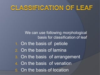 We can use following morphological 
basis for classification of leaf 
1. On the basis of petiole 
2. On the basis of lamina 
3. On the basis of arrangement 
4. On the basis of venation 
5. On the basis of location 
 
