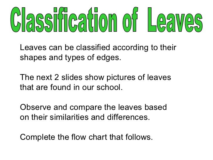 Classification Of Leaves