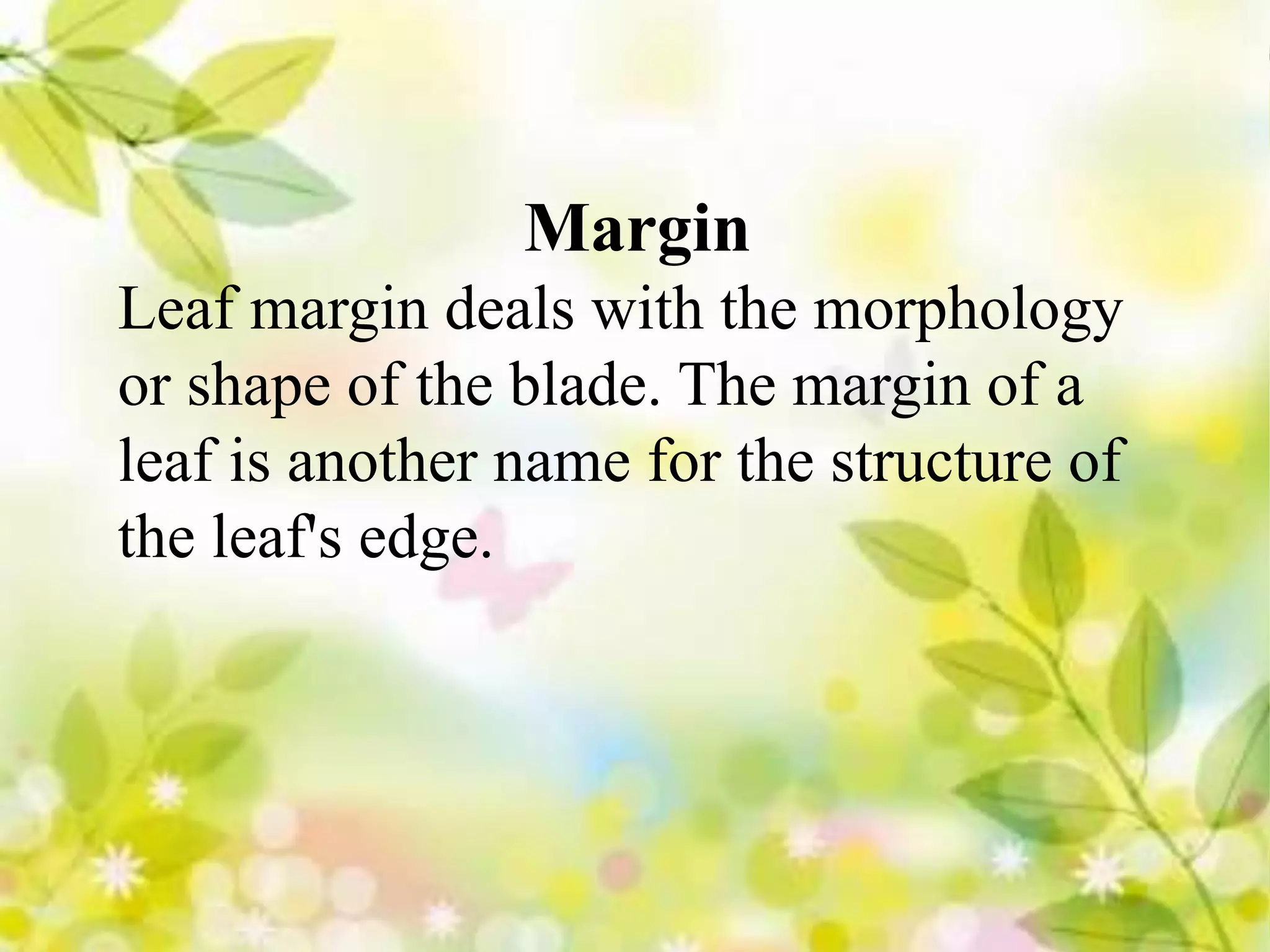 brief-classification-of-leaves-pptx