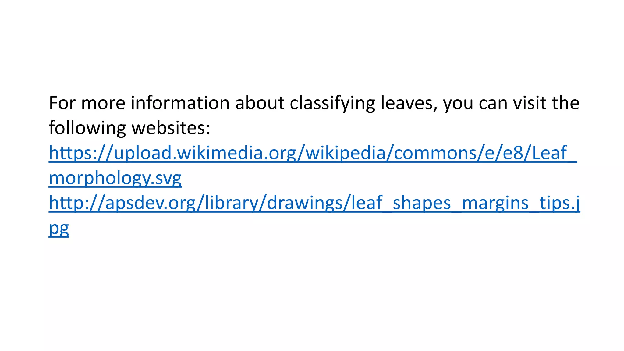 classification-of-leaves-ppt