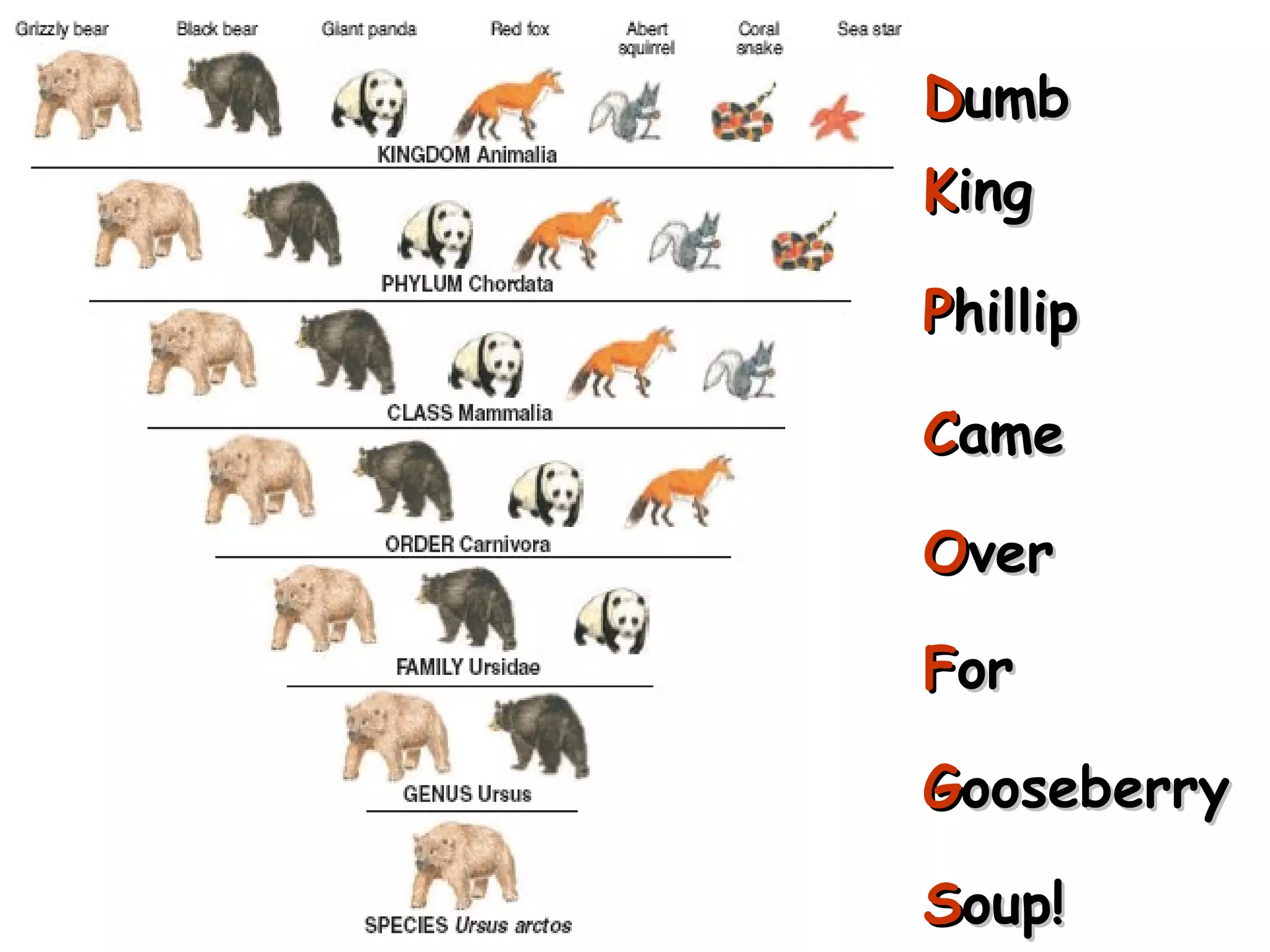 D umb K ing P hillip C ame O ver F or G ooseberry S oup! copyright cmassengale 