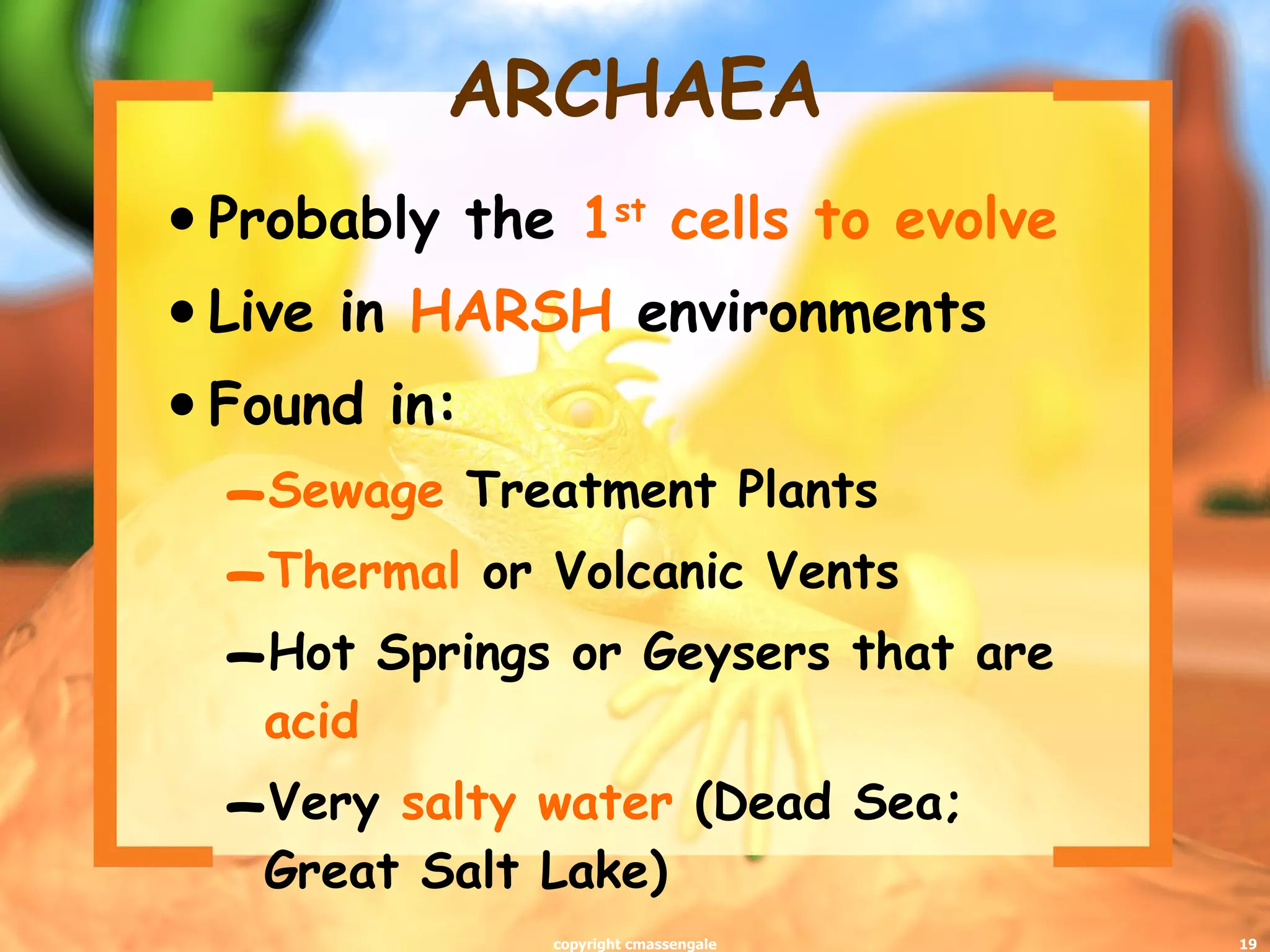 ARCHAEA Probably the  1 st  cells to evolve Live in  HARSH  environments Found in: Sewage  Treatment Plants Thermal  or Volcanic Vents Hot Springs or Geysers that are  acid Very  salty water  (Dead Sea; Great Salt Lake) copyright cmassengale 