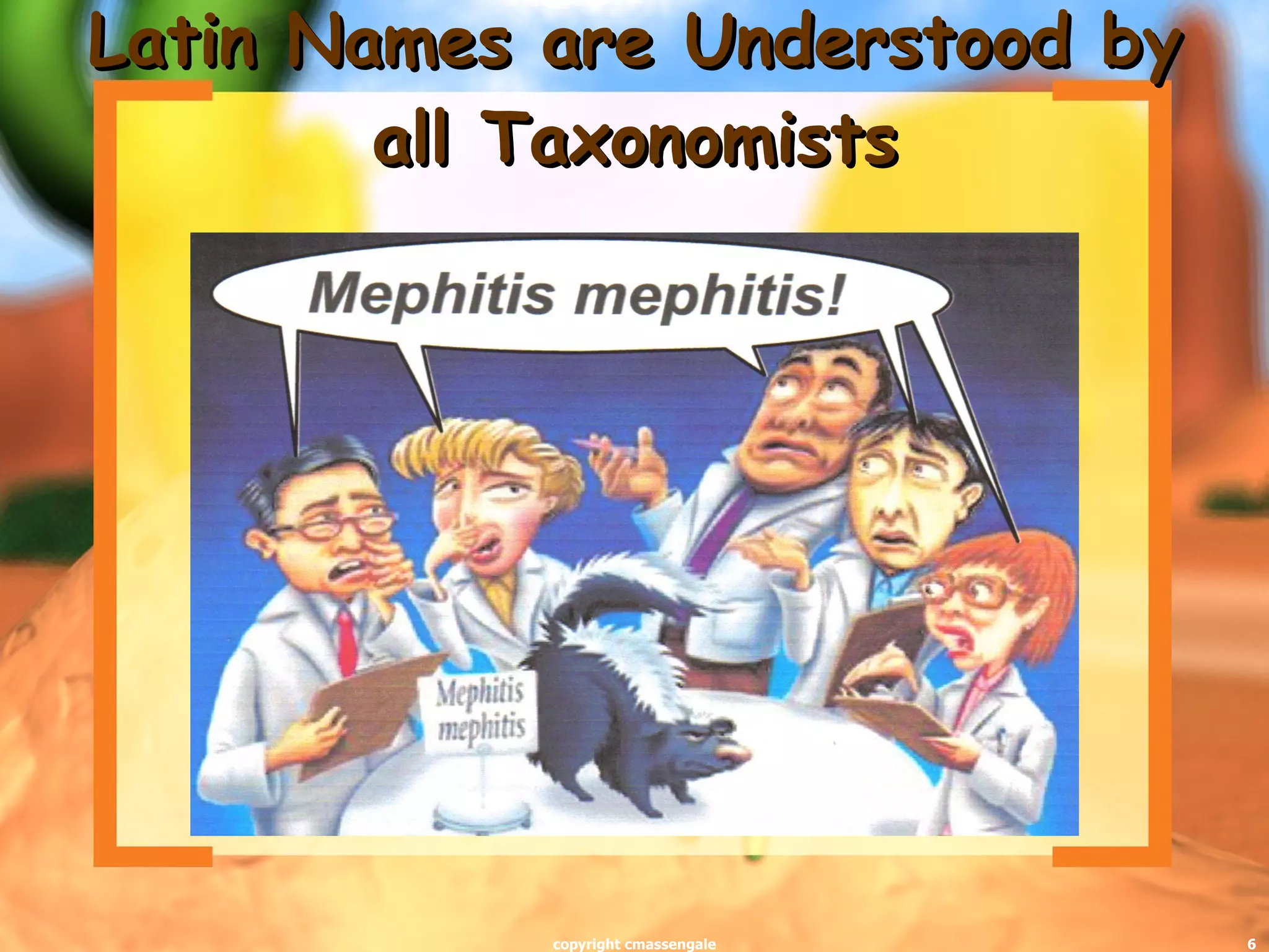Latin Names are Understood by all Taxonomists copyright cmassengale 