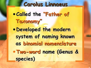 Carolus Linnaeus Called the  “Father of Taxonomy” Developed the modern system of naming known as  binomial nomenclature Two-word  name (Genus & species) copyright cmassengale 