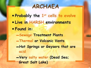 ARCHAEA Probably the  1 st  cells to evolve Live in  HARSH  environments Found in: Sewage  Treatment Plants Thermal  or Volcanic Vents Hot Springs or Geysers that are  acid Very  salty water  (Dead Sea; Great Salt Lake) copyright cmassengale 