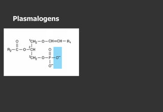 Classification of Lipids- Complete Chemistry | PDF