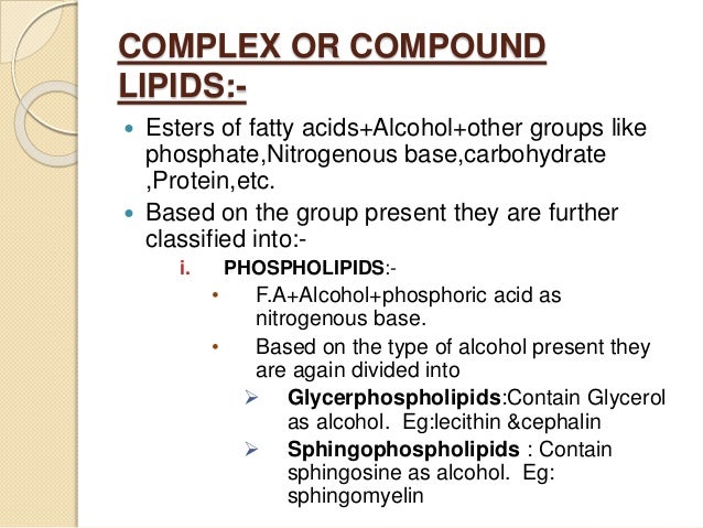 Classification Of Lipids Chart