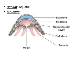 Classification of living organisms | PPTX