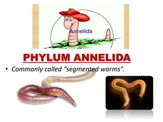 Worm Order Classification of living organisms | PPTX