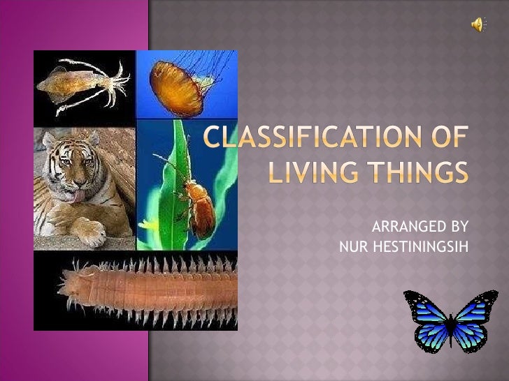 Cl Ification Of Living Things 1 728 Jpgcb1267055214 Cl Ification Of Living Things 1 728 Jpgcb1267055214