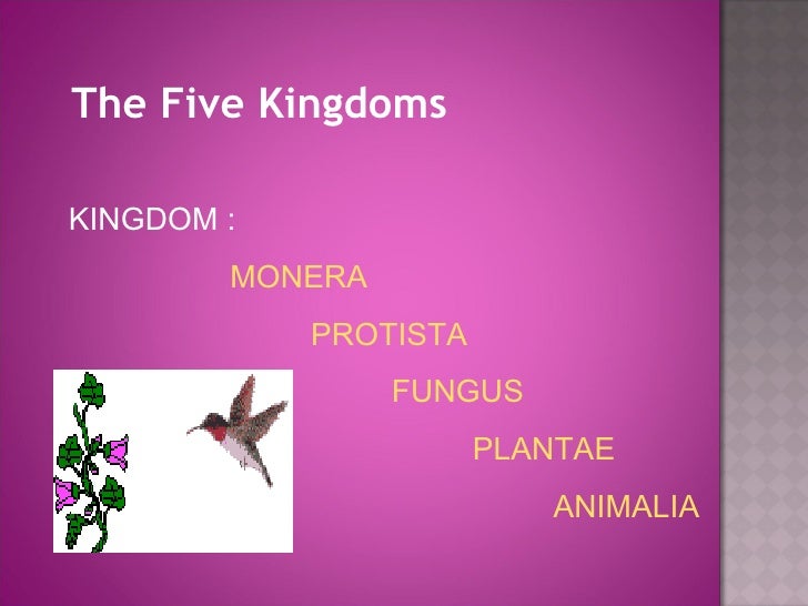 Classification Of Living Things