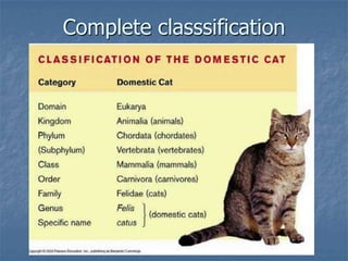 Complete classsification
 