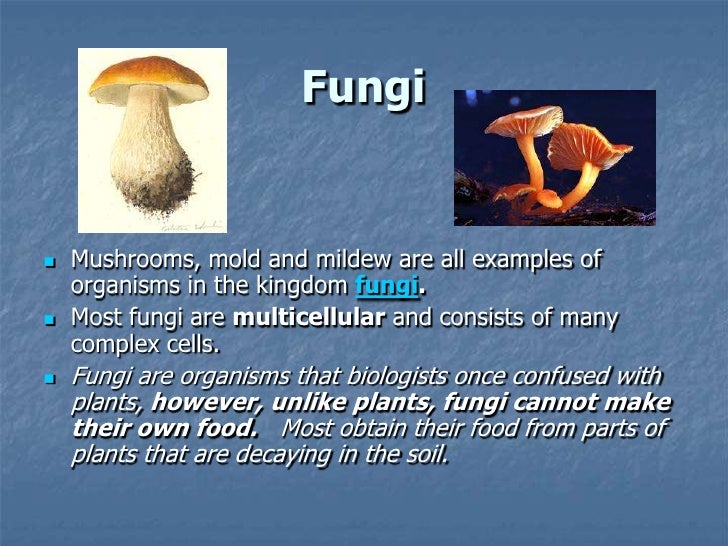 Classification of living_things