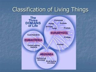 Classification of Living Things
 