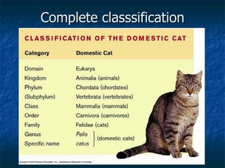 Complete classsification 