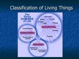 Classification of Living Things 