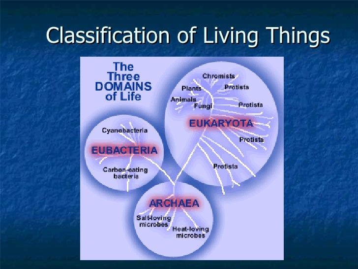 Classification of living_things
