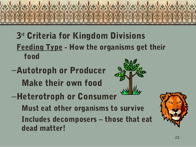 How Do Protozoans Get Their Food How Do Protozoans Get Their Food