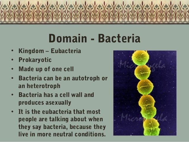 Classification of Living Things