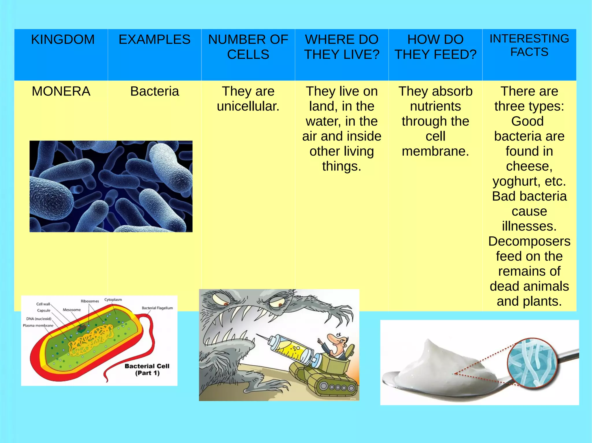 Classification of living things | PDF