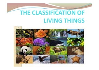THE CLASSIFICATION OF
LIVING THINGS
 