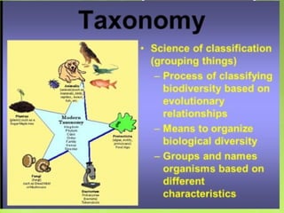 Classification of living things (An Introduction) | PPT