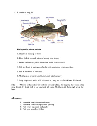 Classification of living things | DOCX