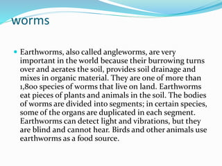 worms
 Earthworms, also called angleworms, are very
important in the world because their burrowing turns
over and aerates the soil, provides soil drainage and
mixes in organic material. They are one of more than
1,800 species of worms that live on land. Earthworms
eat pieces of plants and animals in the soil. The bodies
of worms are divided into segments; in certain species,
some of the organs are duplicated in each segment.
Earthworms can detect light and vibrations, but they
are blind and cannot hear. Birds and other animals use
earthworms as a food source.
 