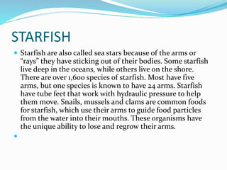 STARFISH
 Starfish are also called sea stars because of the arms or
“rays” they have sticking out of their bodies. Some starfish
live deep in the oceans, while others live on the shore.
There are over 1,600 species of starfish. Most have five
arms, but one species is known to have 24 arms. Starfish
have tube feet that work with hydraulic pressure to help
them move. Snails, mussels and clams are common foods
for starfish, which use their arms to guide food particles
from the water into their mouths. These organisms have
the unique ability to lose and regrow their arms.

 
