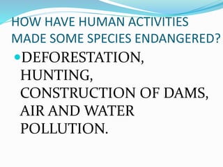 HOW HAVE HUMAN ACTIVITIES
MADE SOME SPECIES ENDANGERED?
DEFORESTATION,
HUNTING,
CONSTRUCTION OF DAMS,
AIR AND WATER
POLLUTION.
 