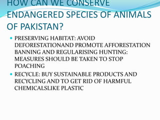HOW CAN WE CONSERVE
ENDANGERED SPECIES OF ANIMALS
OF PAKISTAN?
 PRESERVING HABITAT: AVOID
DEFORESTATIONAND PROMOTE AFFORESTATION
BANNING AND REGULARISING HUNTING:
MEASURES SHOULD BE TAKEN TO STOP
POACHING
 RECYCLE: BUY SUSTAINABLE PRODUCTS AND
RECYCLING AND TO GET RID OF HARMFUL
CHEMICALSLIKE PLASTIC
 