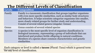 Classification of Living Things.pptxXXXX | PPTX