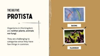 Classification of Living Things Education Presentation in Collage Neat ...