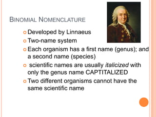 Binomial NomenclatureDeveloped by LinnaeusTwo-name systemEach organism has a first name (genus); and a second name (species)scientific names are usually italicized with only the genus name CAPTITALIZEDTwo different organisms cannot have the same scientific name
