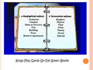 Kings Play Cards On Fat Green Stools