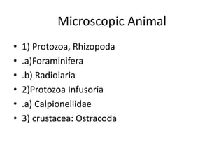 Classification of micro fossil theory | PPTX