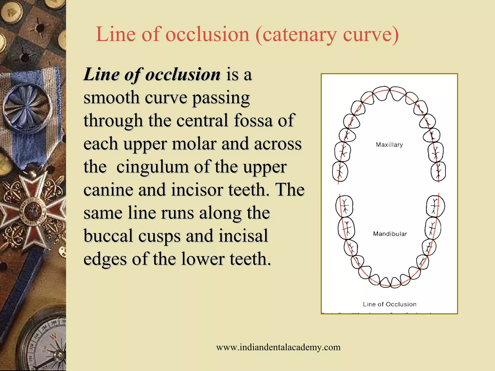 Line of occlusion (catenary curve)
Line of occlusionLine of occlusion is ais a
smooth curve passingsmooth curve passing
through the central fossa ofthrough the central fossa of
each upper molar and acrosseach upper molar and across
the cingulum of the upperthe cingulum of the upper
canine and incisor teeth. Thecanine and incisor teeth. The
same line runs along thesame line runs along the
buccal cusps and incisalbuccal cusps and incisal
edges of the lower teeth.edges of the lower teeth.
www.indiandentalacademy.com
 