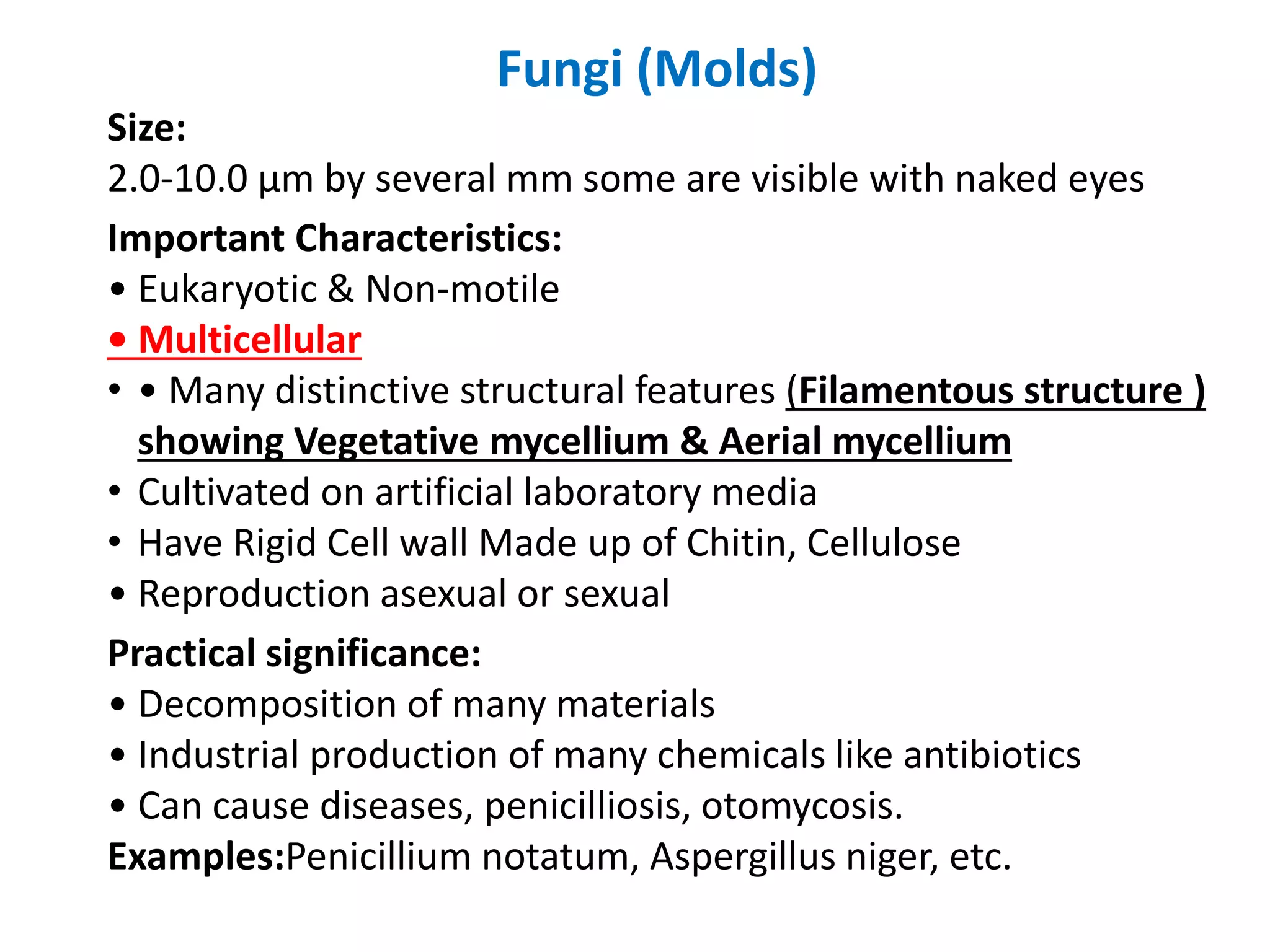 Fungi (Molds)
Size:
2.0-10.0 μm by several mm some are visible with naked eyes
Important Characteristics:
• Eukaryotic & Non-motile
• Multicellular
• • Many distinctive structural features (Filamentous structure )
showing Vegetative mycellium & Aerial mycellium
• Cultivated on artificial laboratory media
• Have Rigid Cell wall Made up of Chitin, Cellulose
• Reproduction asexual or sexual
Practical significance:
• Decomposition of many materials
• Industrial production of many chemicals like antibiotics
• Can cause diseases, penicilliosis, otomycosis.
Examples:Penicillium notatum, Aspergillus niger, etc.
 