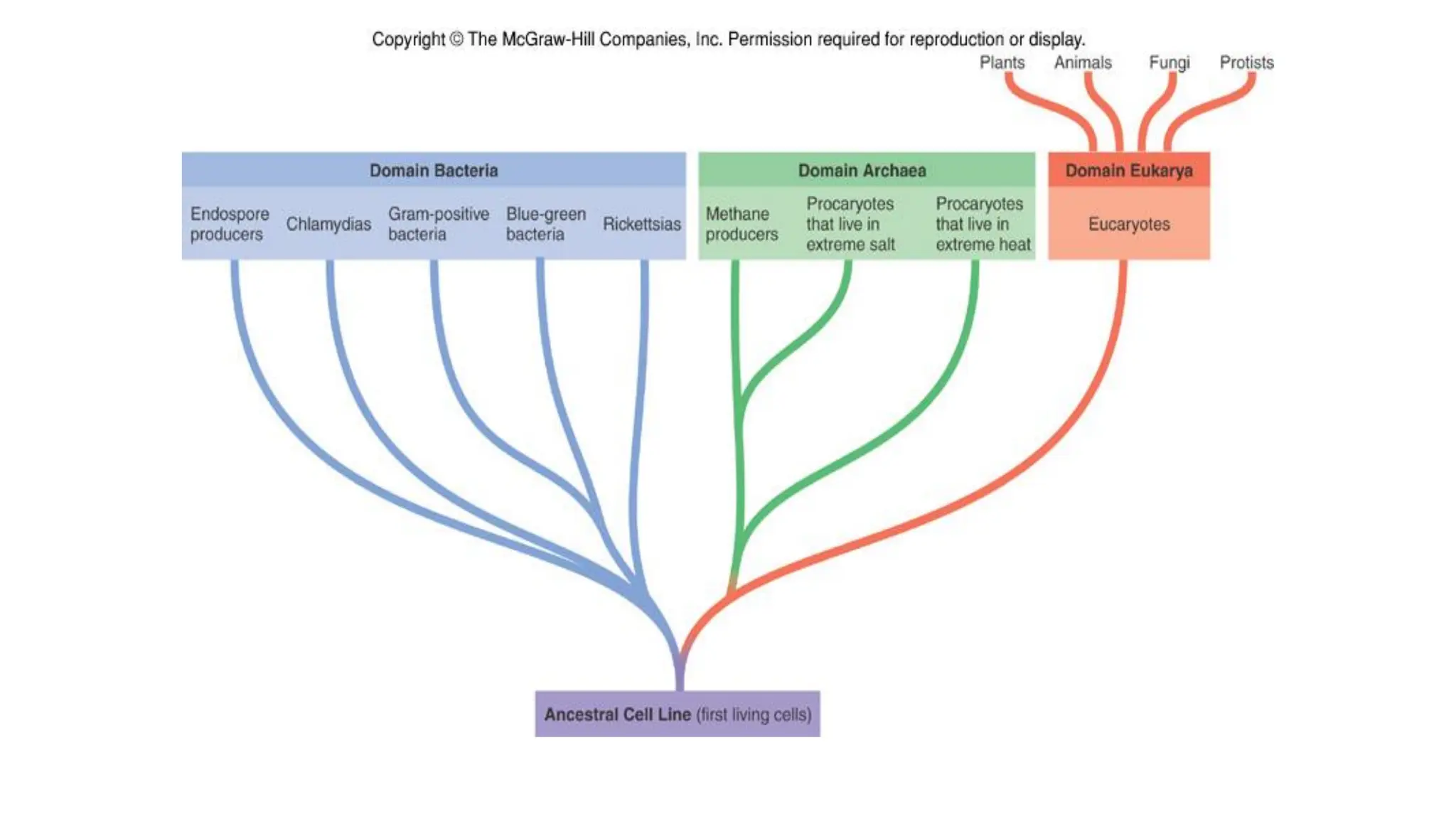 Insert figure 1.15
Woese-Fox System
 