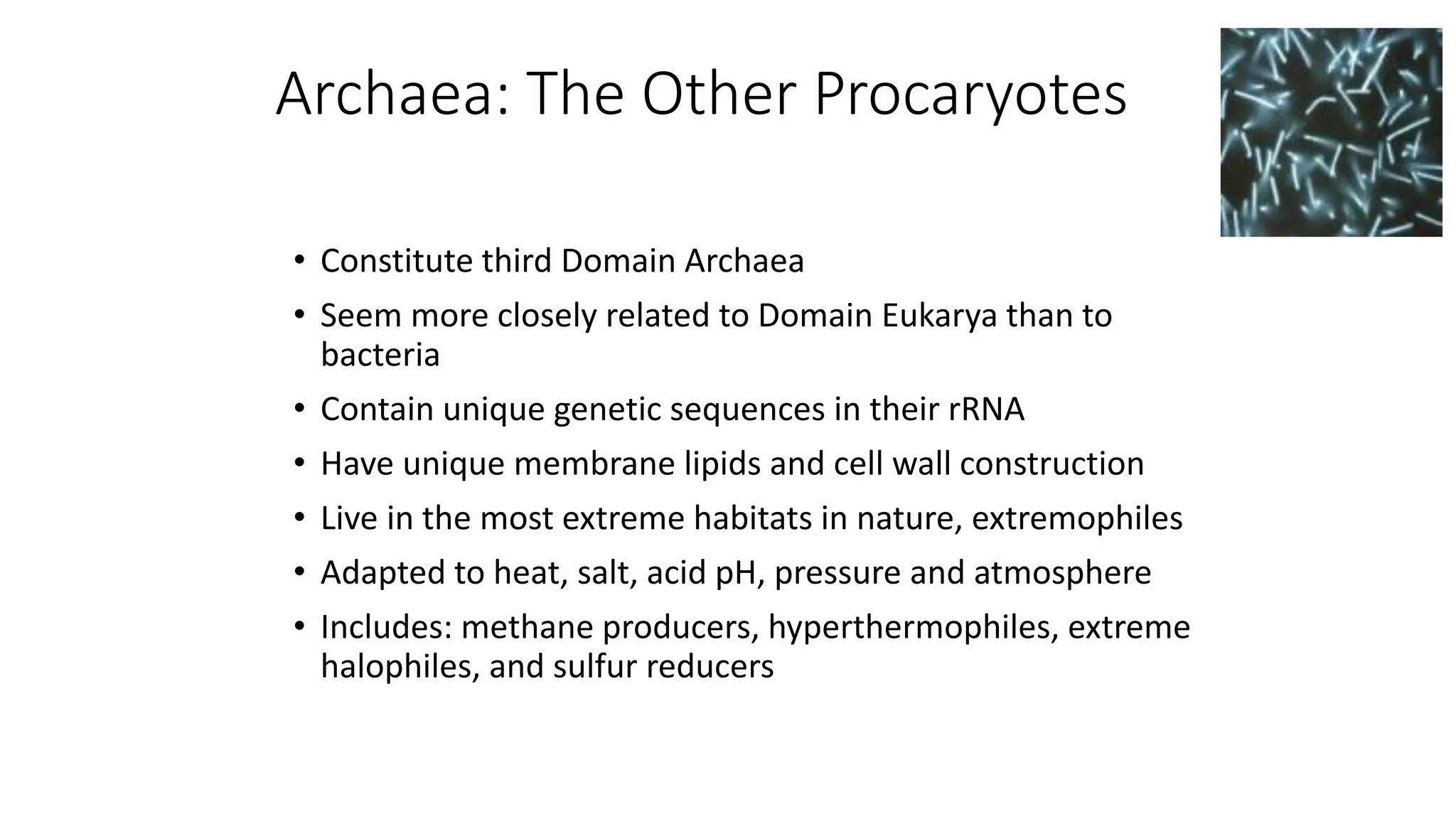 Archaea: The Other Procaryotes
• Constitute third Domain Archaea
• Seem more closely related to Domain Eukarya than to
bacteria
• Contain unique genetic sequences in their rRNA
• Have unique membrane lipids and cell wall construction
• Live in the most extreme habitats in nature, extremophiles
• Adapted to heat, salt, acid pH, pressure and atmosphere
• Includes: methane producers, hyperthermophiles, extreme
halophiles, and sulfur reducers
 
