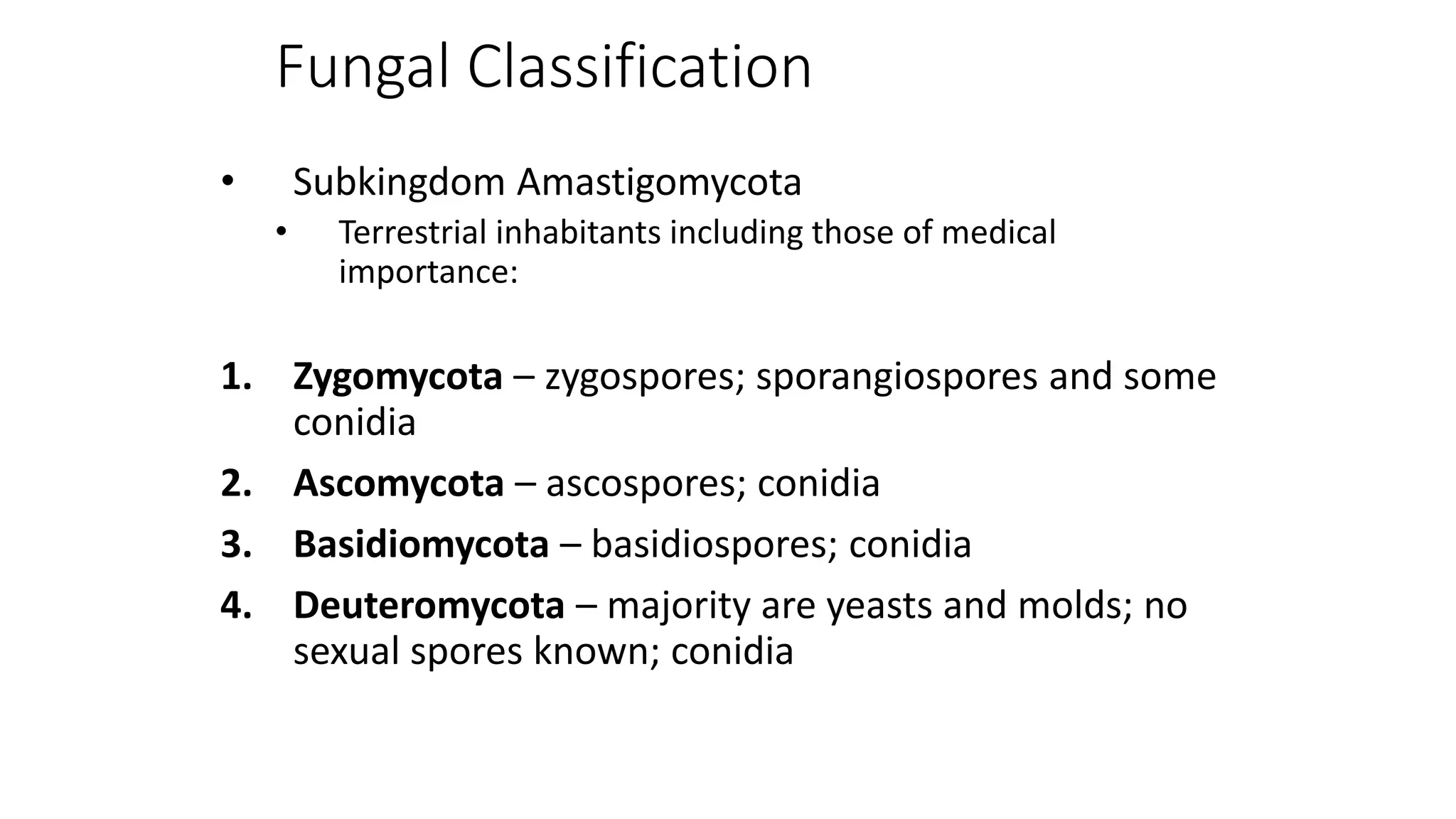 Fungal Classification
• Subkingdom Amastigomycota
• Terrestrial inhabitants including those of medical
importance:
1. Zygomycota – zygospores; sporangiospores and some
conidia
2. Ascomycota – ascospores; conidia
3. Basidiomycota – basidiospores; conidia
4. Deuteromycota – majority are yeasts and molds; no
sexual spores known; conidia
 