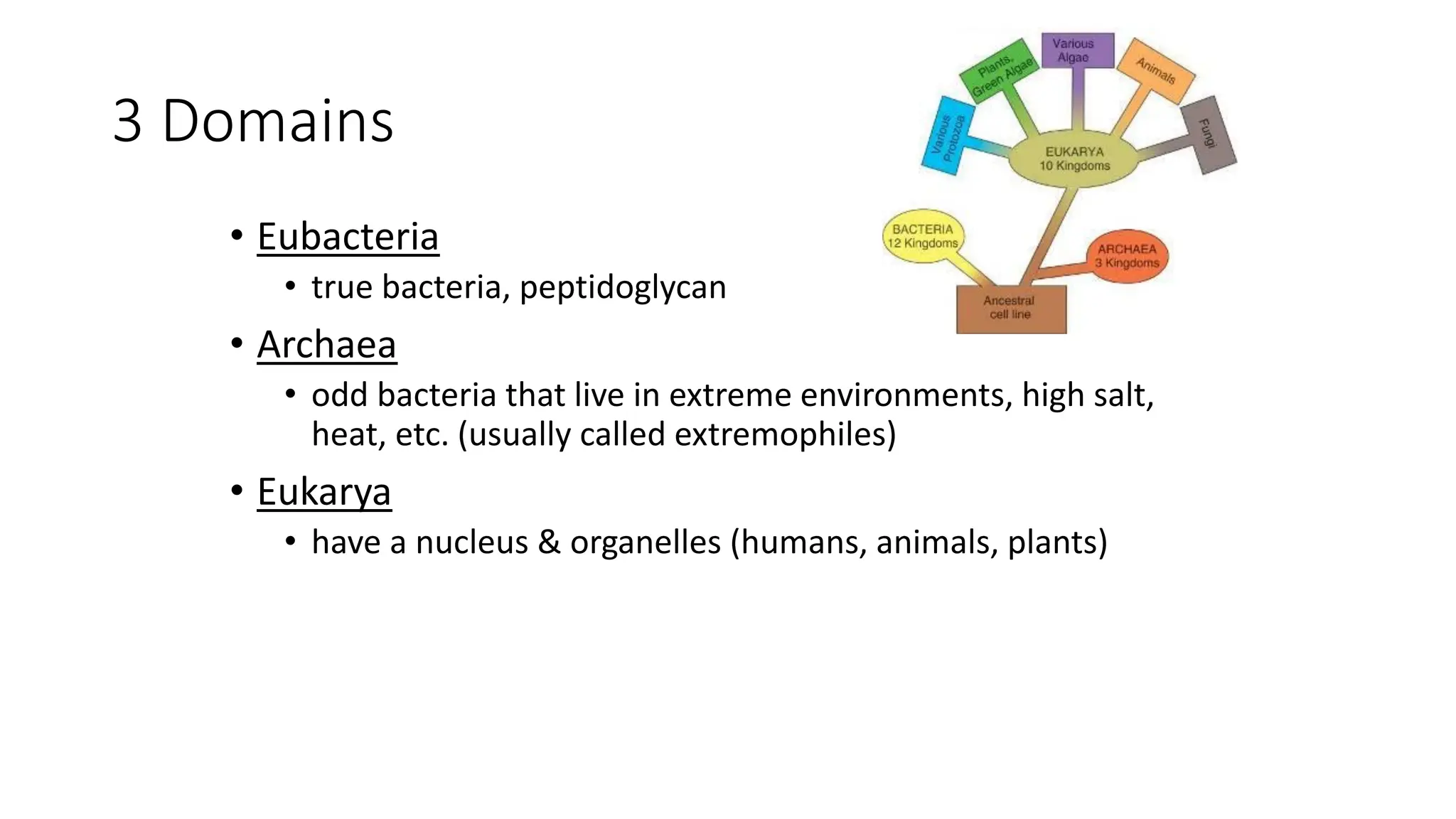 3 Domains
• Eubacteria
• true bacteria, peptidoglycan
• Archaea
• odd bacteria that live in extreme environments, high salt,
heat, etc. (usually called extremophiles)
• Eukarya
• have a nucleus & organelles (humans, animals, plants)
 