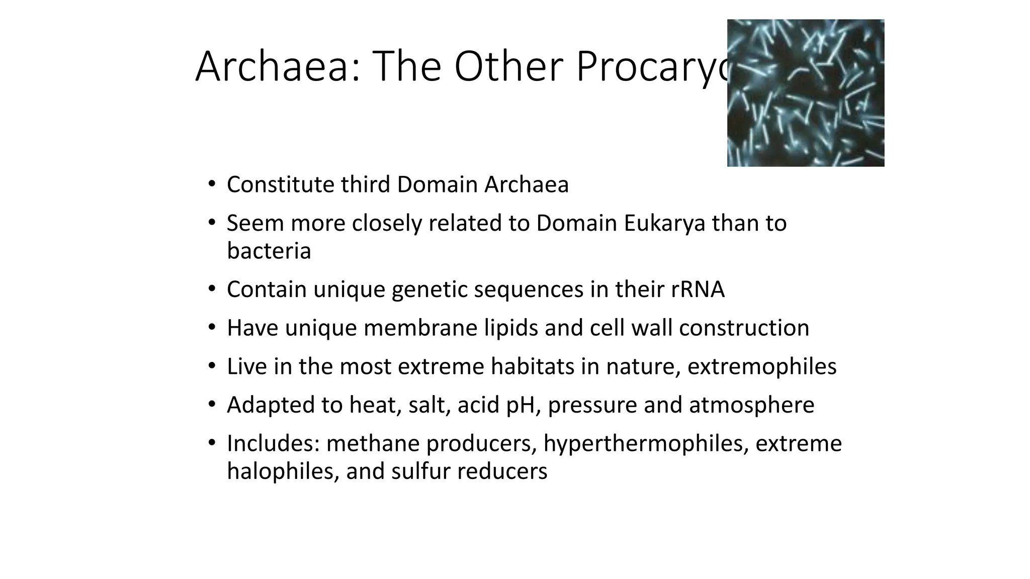 Archaea: The Other Procaryotes
• Constitute third Domain Archaea
• Seem more closely related to Domain Eukarya than to
bacteria
• Contain unique genetic sequences in their rRNA
• Have unique membrane lipids and cell wall construction
• Live in the most extreme habitats in nature, extremophiles
• Adapted to heat, salt, acid pH, pressure and atmosphere
• Includes: methane producers, hyperthermophiles, extreme
halophiles, and sulfur reducers
 