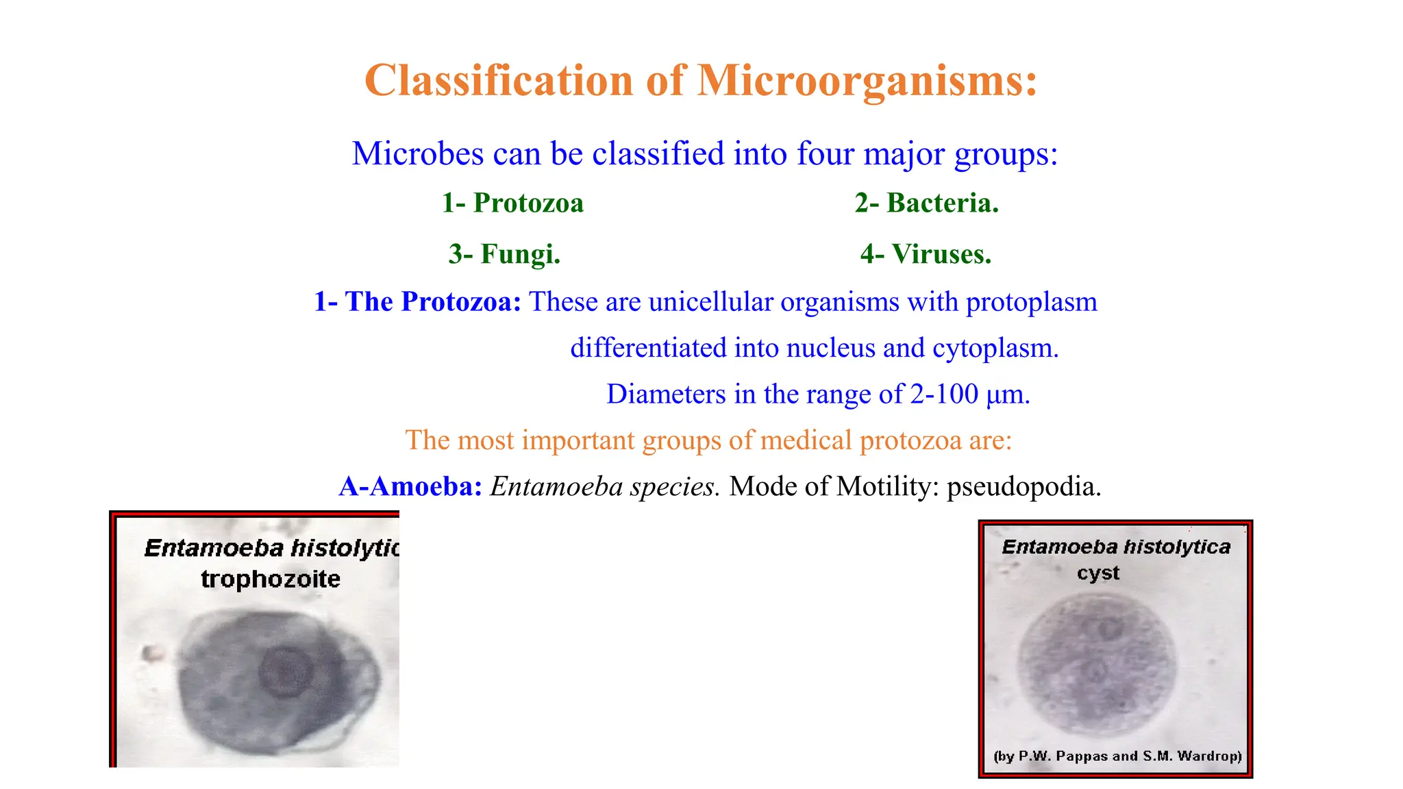 Classification of Microorganisms:
Microbes can be classified into four major groups:
1- Protozoa 2- Bacteria.
3- Fungi. 4- Viruses.
1- The Protozoa: These are unicellular organisms with protoplasm
differentiated into nucleus and cytoplasm.
Diameters in the range of 2-100 μm.
The most important groups of medical protozoa are:
A-Amoeba: Entamoeba species. Mode of Motility: pseudopodia.
 