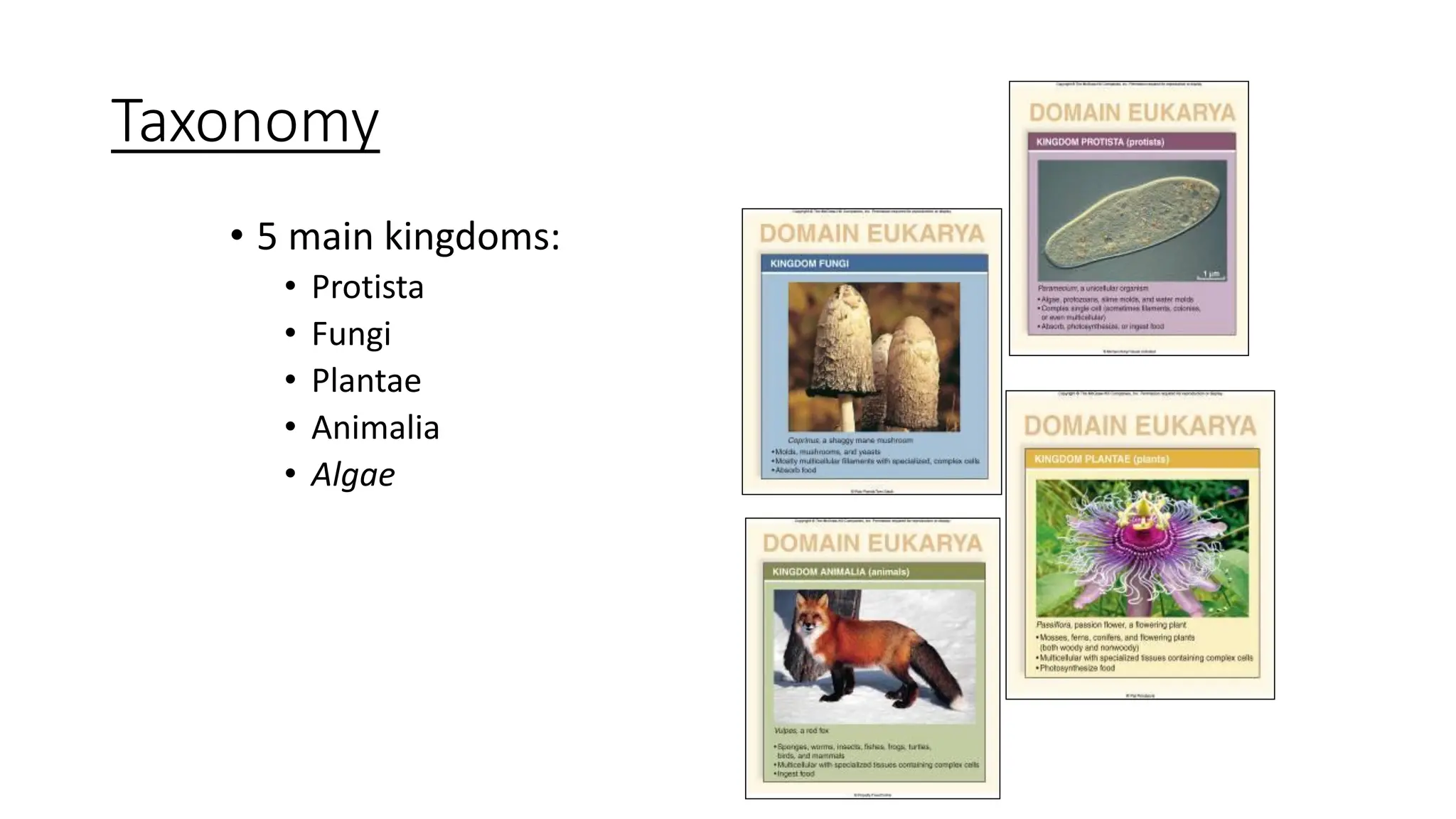 Taxonomy
• 5 main kingdoms:
• Protista
• Fungi
• Plantae
• Animalia
• Algae
 