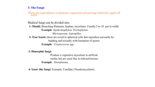 classification of microorganisms Microbiology | PDF