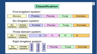 LECTURE NOTE ON CLASSIFICATION OF MICROORGANISMS.pptx