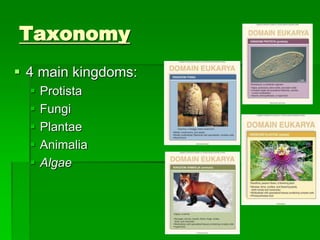 Taxonomy
 4 main kingdoms:
 Protista
 Fungi
 Plantae
 Animalia
 Algae
 
