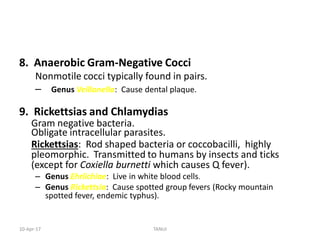 ppt Classification of Microorganisms.pdf
