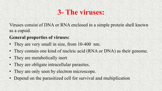 3- The viruses:
Viruses consist of DNA or RNA enclosed in a simple protein shell known
as a capsid.
General properties of viruses:
• They are very small in size, from 10-400 nm.
• They contain one kind of nucleic acid (RNA or DNA) as their genome.
• They are metabolically inert
• They are obligate intracellular parasites.
• They are only seen by electron microscope.
• Depend on the parasitized cell for survival and multiplication
 